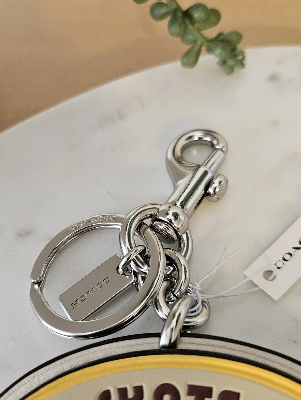 COACH Skate Not Hate Rainbow Wing Keychain ๐ - Picture 8 of 8